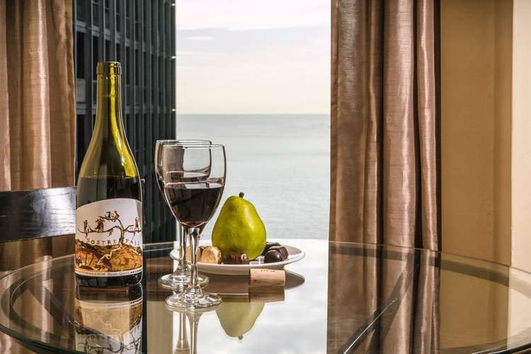 שיקגו Dewitt Hotel And Suites מתקנים תמונה