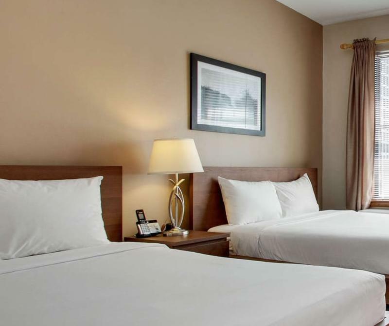 שיקגו Dewitt Hotel And Suites מראה חיצוני תמונה